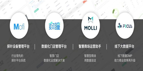 芝麻科技朱智 用線下大數據技術服務提升商家運營效率